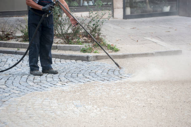 Best Driveway Pressure Washing  in Vicksburg, MI