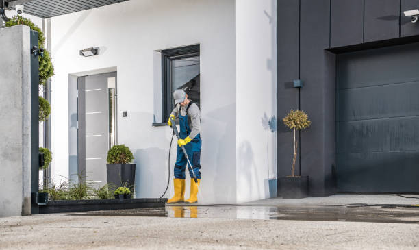 Best Gutter Cleaning  in Vicksburg, MI